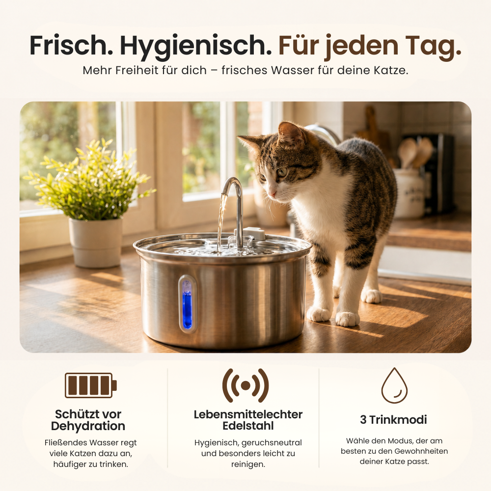 PureSpring™ 2.0 Trinkbrunnen Kit
